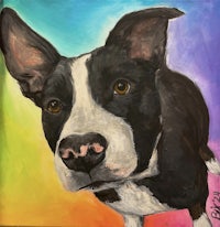 a painting of a black and white dog on a colorful background